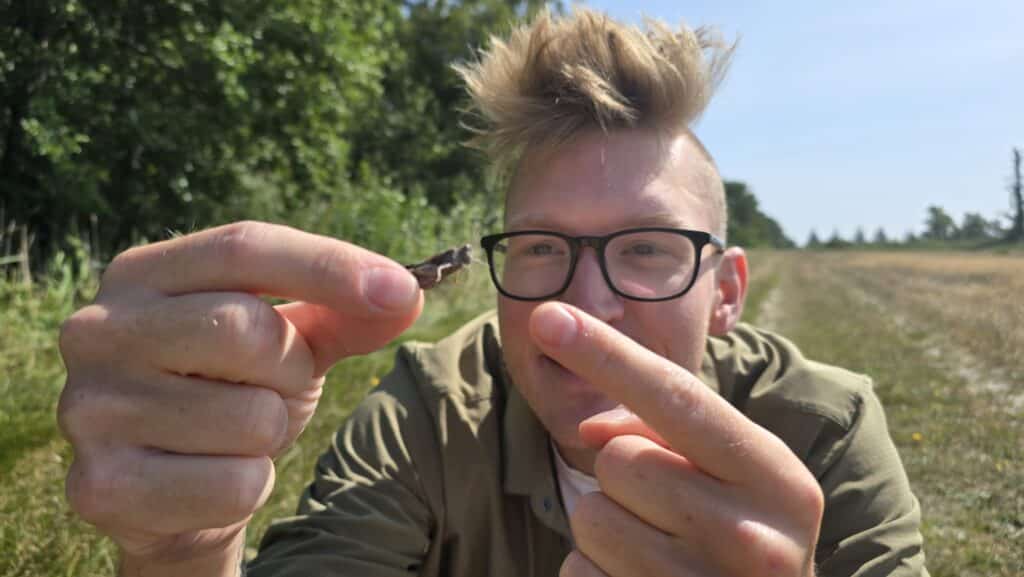 Jens Thorving Andersen holder en blåvinget ørkengræshoppe frem.